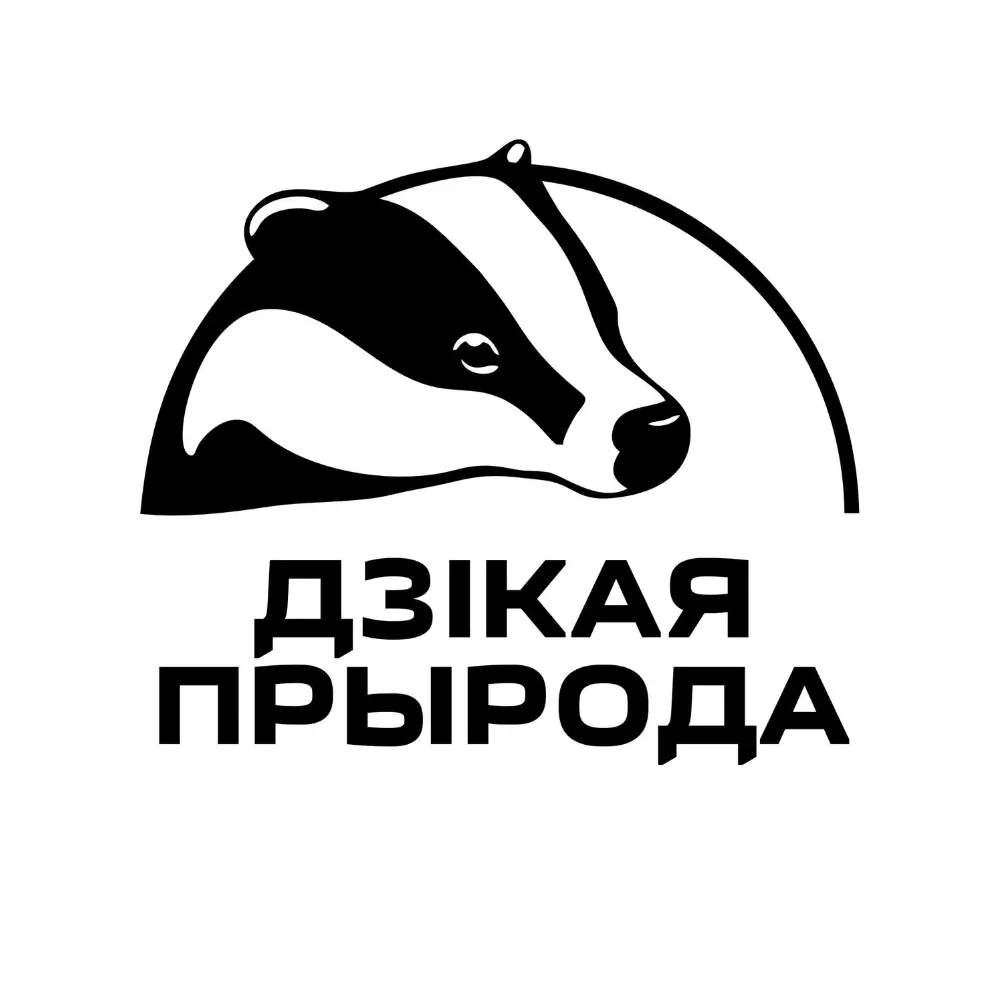 Интернет-магазин «Дикий маркет»