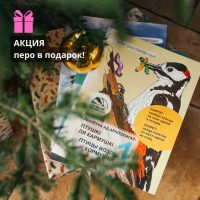 Акция комплект раскрасок