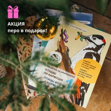 Акция - комплект раскрасок + перо