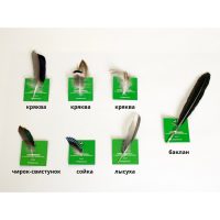 перья к раскраскам кв