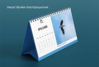 Настольный календарь пример 2026