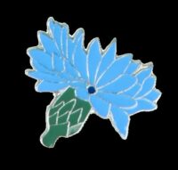 Василек синий