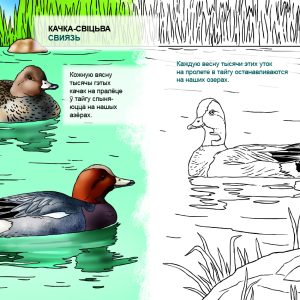 Разворот раскраски Кто живет на воде