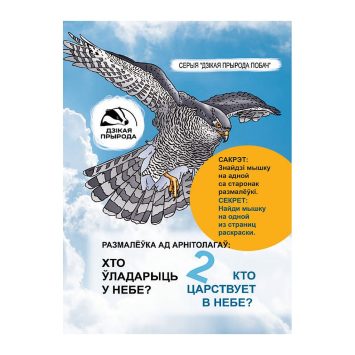 Раскраска от орнитологов Кто царствует в небе