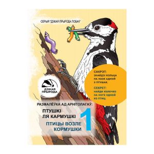 Раскраска Птицы возле кормушки