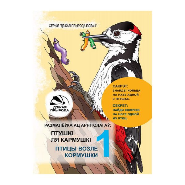 Раскраска Птицы возле кормушки