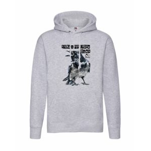 худи с вороной