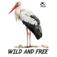 Макет Белый аист