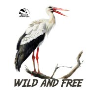 Макет Клекот аиста