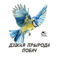 Макет Лазоревка3