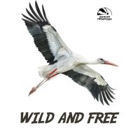 Макет Полет аиста