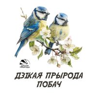 Макет лазоревки