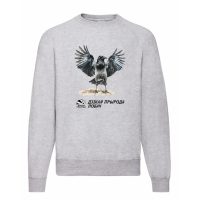 свитшот Серая ворона 1