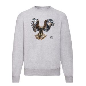 свитшот с беркутом