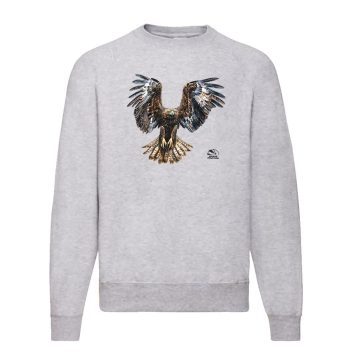 свитшот с беркутом