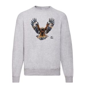 свитшот с беркутом