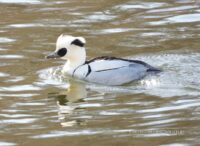 08bcb4ed-acb6-40ee-afba-97aa4253adc9 (1)