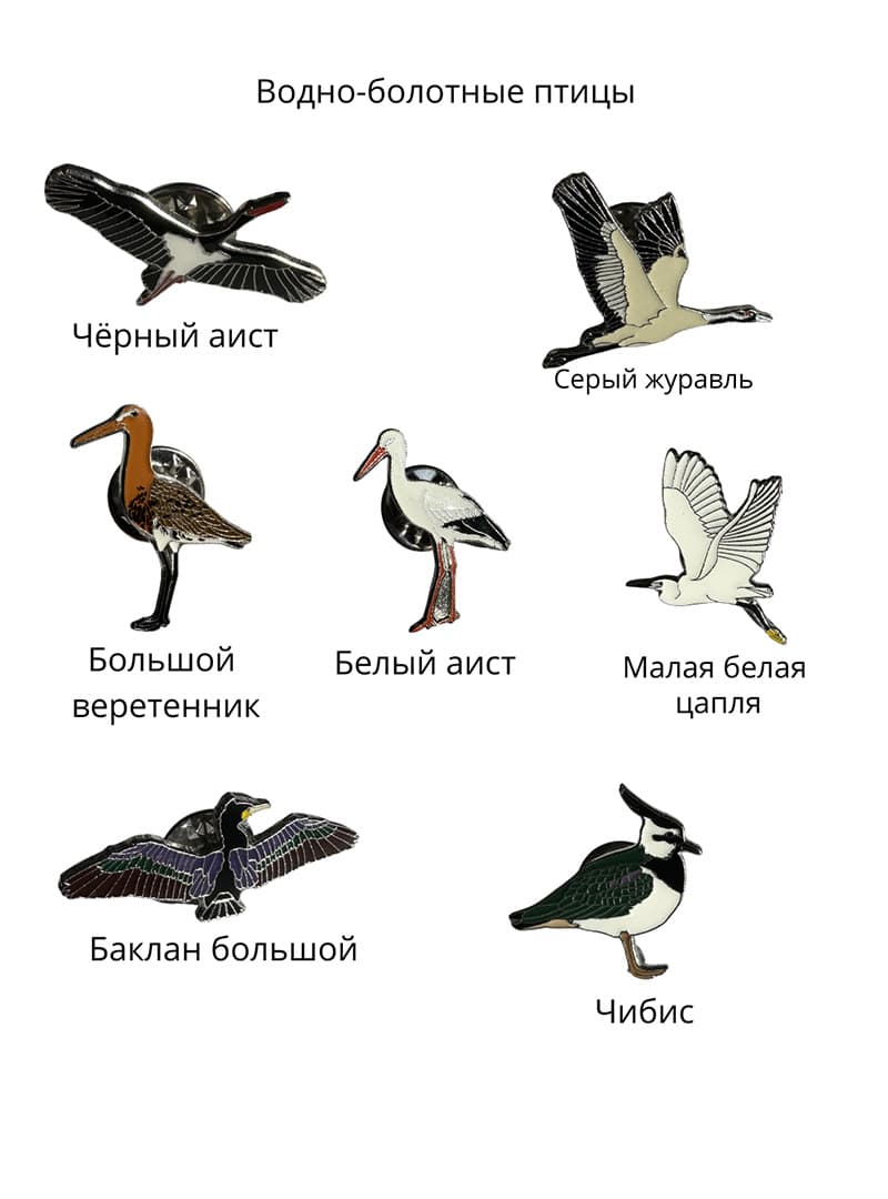 Пины Водно-болотные птицы часть 1 (1)