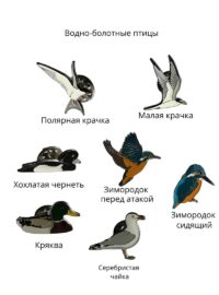 Пины Водно-болотные птицы часть 2 (1)