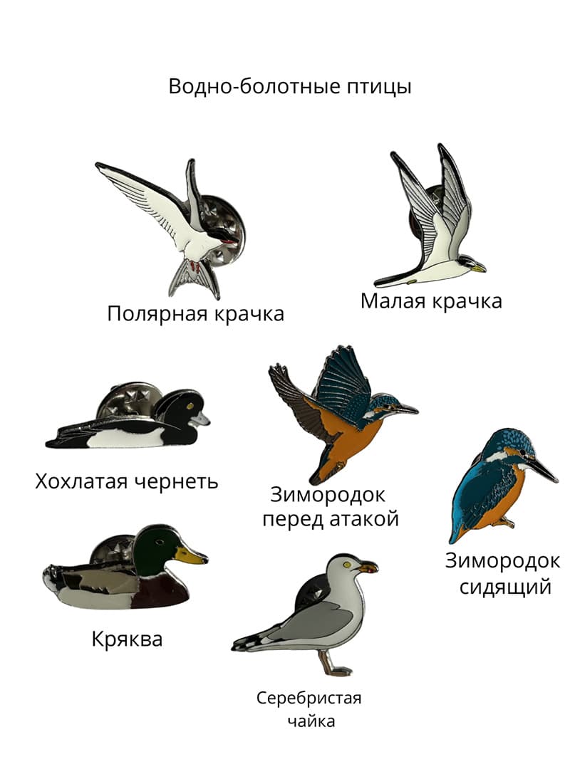 Пины Водно-болотные птицы часть 2 (1)