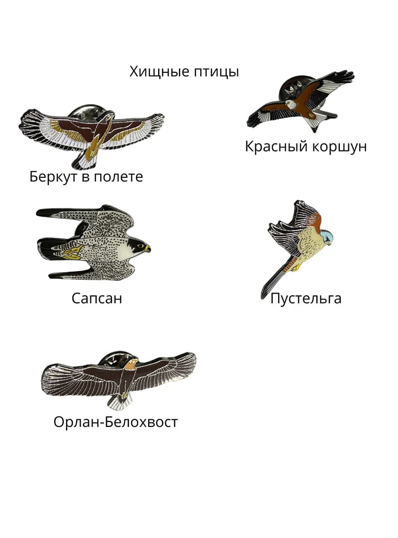 Пины хищные птицы (1)