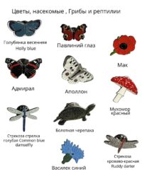 Пины насекомые грибы рептилии цветы (1)