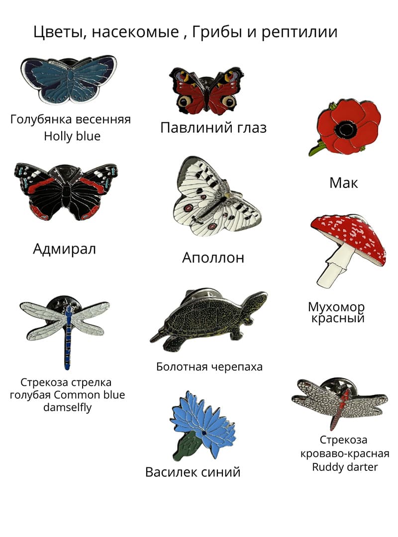 Пины насекомые грибы рептилии цветы (1)