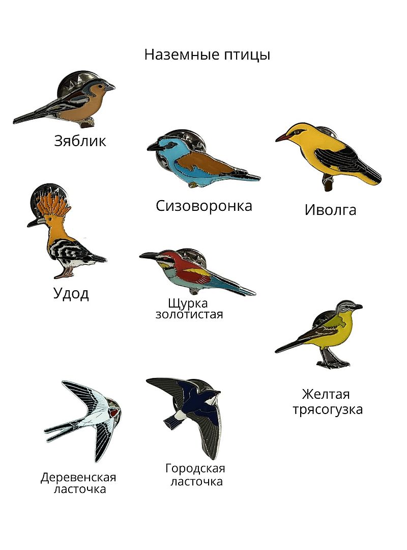 Пины наземные птицы часть_2