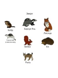 Пины звери м