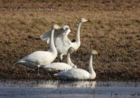 0fdf13af-ad05-4d0e-85b4-b5c8973bcea6