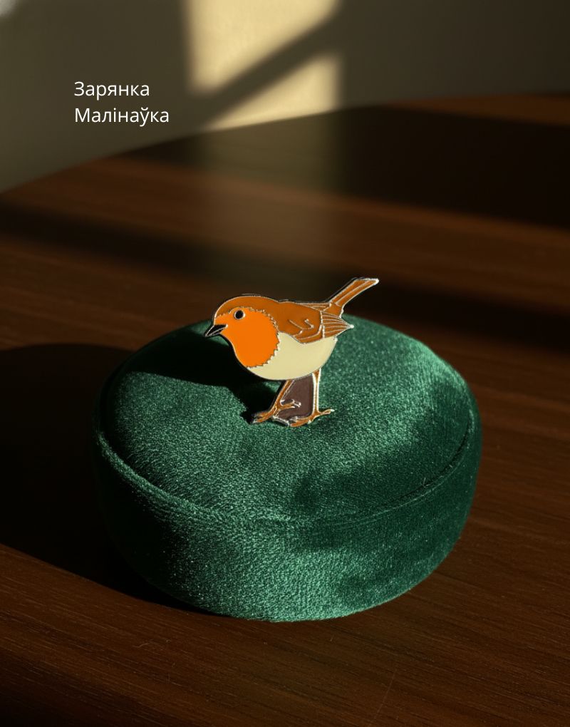 17 Зарянка значок-пин