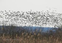 1a3a241b-4df9-4390-b27d-a919244a17f3