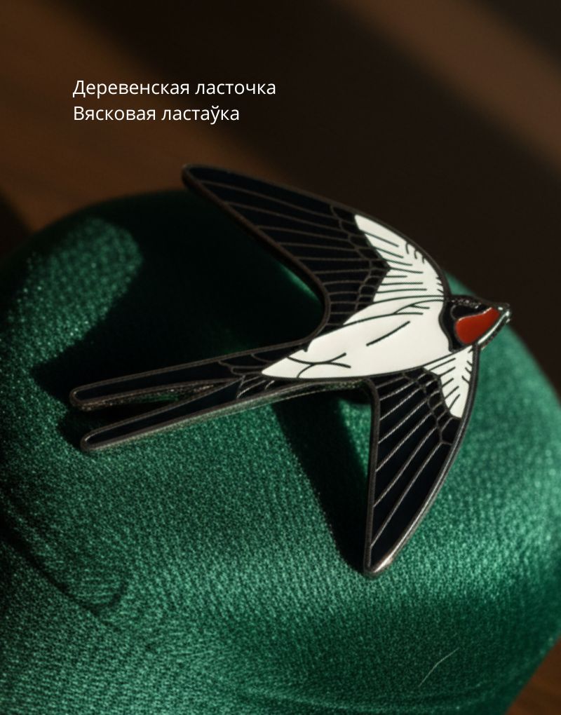 23 Деревенская ласточка