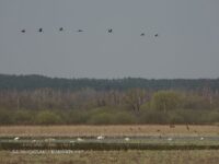 2b513b26-5468-4c5a-9d17-5332d4f47db0