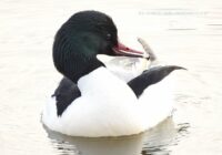 37db3867-ae30-4c56-a291-e411fee7ca41