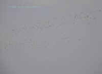 393a10f1-f24c-440c-97e2-9cc3bdad179b