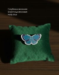 Голубянка весенняя