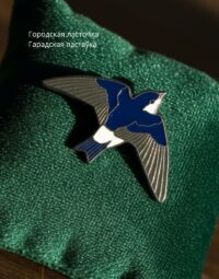 Городская ласточка