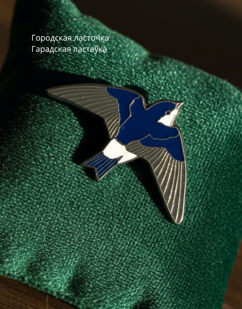 Городская ласточка значок с городской ласточкой
