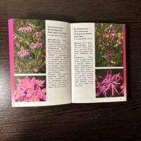 Разворот Кукушкин цвет