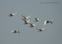 de3cf5b9-d7eb-48ff-b4b3-2805d426583a