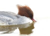 eb037790-a3dd-4ad8-80de-2894653f8db7