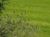 DSCN1363
