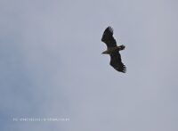 8e34abee-7589-43bf-affa-245c866519b6