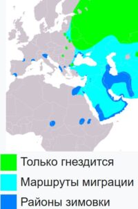 Карта гнездования, перелетов и зимовки большого подорлика