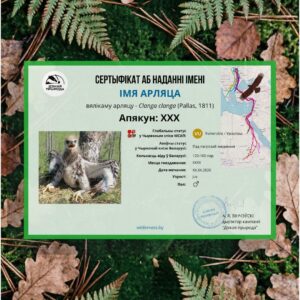 Покровитель большого подорлика